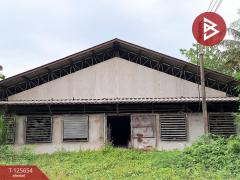 ขายที่ดินพร้อมสิ่งปลูกสร้าง เนื้อที่ 71 ไร่ 2 งาน 2 ตร.วา ห้วยไผ่ ราชบุรี-202511021150361762059036305.jpg