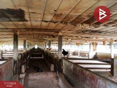 ขายที่ดินพร้อมสิ่งปลูกสร้าง เนื้อที่ 71 ไร่ 2 งาน 2 ตร.วา ห้วยไผ่ ราชบุรี-202511021150371762059037425.jpg