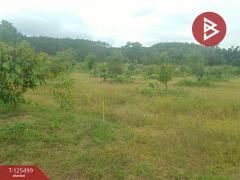 ขายที่ดิน เนื้อที่ 12 ไร่ 36.5 ตารางวา ต.เขาแก้ว ท่าใหม่ จันทบุรี-202511021200461762059646486.jpg