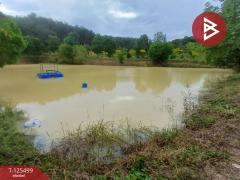 ขายที่ดิน เนื้อที่ 12 ไร่ 36.5 ตารางวา ต.เขาแก้ว ท่าใหม่ จันทบุรี-202511021200471762059647027.jpg