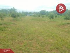 ขายที่ดิน เนื้อที่ 12 ไร่ 36.5 ตารางวา ต.เขาแก้ว ท่าใหม่ จันทบุรี-202511021200481762059648098.jpg