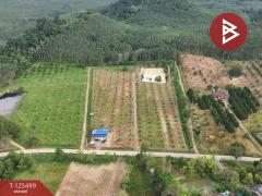 ขายที่ดิน เนื้อที่ 12 ไร่ 36.5 ตารางวา ต.เขาแก้ว ท่าใหม่ จันทบุรี-202511021200491762059649184.jpg