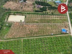 ขายที่ดิน เนื้อที่ 12 ไร่ 36.5 ตารางวา ต.เขาแก้ว ท่าใหม่ จันทบุรี-202511021200491762059649718.jpg