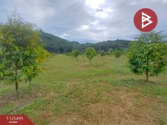 ขายที่ดิน เนื้อที่ 12 ไร่ 36.5 ตารางวา ต.เขาแก้ว ท่าใหม่ จันทบุรี-202511021200501762059650261.jpg