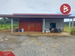 ขายที่ดิน เนื้อที่ 12 ไร่ 36.5 ตารางวา ต.เขาแก้ว ท่าใหม่ จันทบุรี-202511021200501762059650805.jpg