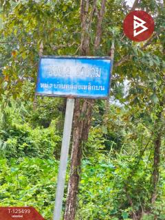 ขายที่ดิน เนื้อที่ 12 ไร่ 36.5 ตารางวา ต.เขาแก้ว ท่าใหม่ จันทบุรี-202511021200521762059652411.jpg