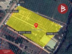 ขายที่ดิน เนื้อที่ 12 ไร่ 36.5 ตารางวา ต.เขาแก้ว ท่าใหม่ จันทบุรี-202511021200521762059652984.jpg