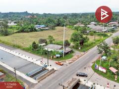 ขายที่ดิน เนื้อที่ 8 ไร่ 42 ตร.วา หนองเสม็ด ตราด-202511021227351762061255114.jpg