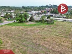 ขายที่ดิน เนื้อที่ 8 ไร่ 42 ตร.วา หนองเสม็ด ตราด-202511021227361762061256746.jpg