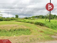 ขายที่ดิน เนื้อที่ 8 ไร่ 42 ตร.วา หนองเสม็ด ตราด-202511021227371762061257282.jpg