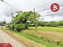 ขายที่ดิน เนื้อที่ 8 ไร่ 42 ตร.วา หนองเสม็ด ตราด-202511021227371762061257818.jpg