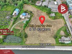 ขายที่ดิน เนื้อที่ 8 ไร่ 42 ตร.วา หนองเสม็ด ตราด-202511021227381762061258420.jpg