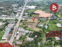 ขายที่ดิน เนื้อที่ 8 ไร่ 42 ตร.วา หนองเสม็ด ตราด-202511021227381762061258957.jpg