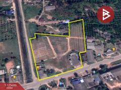 ขายที่ดิน เนื้อที่ 8 ไร่ 42 ตร.วา หนองเสม็ด ตราด-202511021227401762061260563.jpg