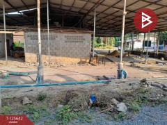  ขายที่ดินพร้อมสิ่งปลูกสร้าง เนื้อที่ 1 งาน 75 ตร.วา กำแพงแสน นครปฐม-202511021253001762062780612.jpg