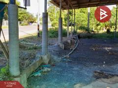  ขายที่ดินพร้อมสิ่งปลูกสร้าง เนื้อที่ 1 งาน 75 ตร.วา กำแพงแสน นครปฐม-202511021253021762062782179.jpg