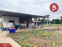 ขายที่ดินพร้อมสิ่งปลูกสร้าง เนื้อที่ 2 ไร่ 2 งาน 93 ตารางวา ประโคนชัย บุรีรัมย์-202511021308511762063731362.jpg