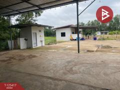 ขายที่ดินพร้อมสิ่งปลูกสร้าง เนื้อที่ 2 ไร่ 2 งาน 93 ตารางวา ประโคนชัย บุรีรัมย์-202511021308511762063731903.jpg