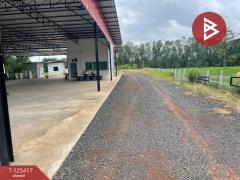 ขายที่ดินพร้อมสิ่งปลูกสร้าง เนื้อที่ 2 ไร่ 2 งาน 93 ตารางวา ประโคนชัย บุรีรัมย์-202511021308521762063732923.jpg