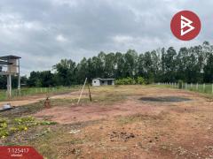 ขายที่ดินพร้อมสิ่งปลูกสร้าง เนื้อที่ 2 ไร่ 2 งาน 93 ตารางวา ประโคนชัย บุรีรัมย์-202511021308561762063736169.jpg