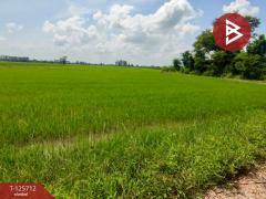 ขายที่ดินเปล่า เนื้อที่ 207 ไร่ 3 งาน 89 ตร.วา พรานกระต่าย กำแพงเพชร