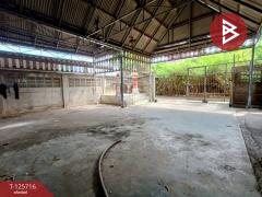  ขายบ้านเดี่ยวพร้อมที่ดิน เนื้อที่ 1 งาน 56 ตร.วา แม่กลอง สมุทรสงคราม-202511021418051762067885046.jpg