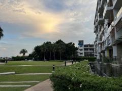 ขาย ทาวน์โฮมน์ / โฮมออฟฟิศ Supalai Prima Riva (โครงการ ศุภาลัย พรีมา ริวา) พระราม3 ราคา 13,650,000 (ต่ำกว่าราคาประเมิน)-202511021422231762068143886.jpg