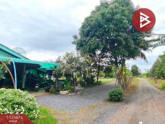 ขายบ้านเดี่ยวชั้นเดียว เนื้อที่ 99.3 ตารางวา ขลุง จันทบุรี-202511021440231762069223363.jpg