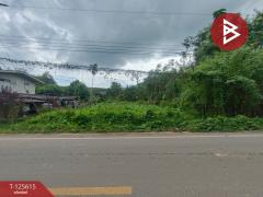 ขายที่ดิน เนื้อที่ 7 ไร่ 1 งาน 36 ตารางวา หนองโสน ตราด-202511021456101762070170518.jpg