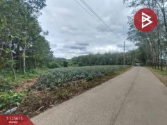 ขายที่ดิน เนื้อที่ 7 ไร่ 1 งาน 36 ตารางวา หนองโสน ตราด-202511021456121762070172046.jpg