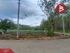 ขายที่ดิน เนื้อที่ 7 ไร่ 1 งาน 36 ตารางวา หนองโสน ตราด-202511021456121762070172580.jpg