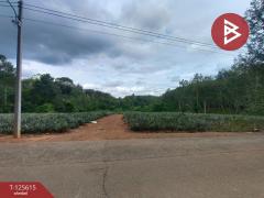 ขายที่ดิน เนื้อที่ 7 ไร่ 1 งาน 36 ตารางวา หนองโสน ตราด-202511021456131762070173119.jpg