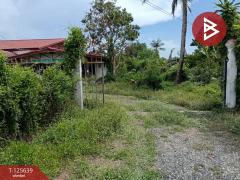 ขายบ้านเดี่ยวพร้อมที่ดิน เนื้อที่ 1 ไร่ 3 งาน 87 ตร.วา คลองเปรง ฉะเชิงเทรา-202511021505111762070711908.jpg