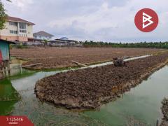 ขายที่ดิน เนื้อที่ 3 ไร่ 10 ตร.วา บางเดื่อ ปทุมธานี-202511021508241762070904492.jpg