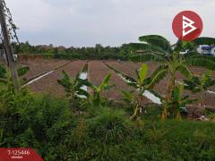 ขายที่ดิน เนื้อที่ 3 ไร่ 10 ตร.วา บางเดื่อ ปทุมธานี-202511021508251762070905045.jpg