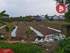 ขายที่ดิน เนื้อที่ 3 ไร่ 10 ตร.วา บางเดื่อ ปทุมธานี-202511021508251762070905583.jpg