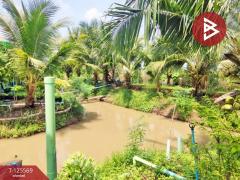 ขายบ้านเดี่ยว เนื้อที่ 2 ไร่ 2 งาน 57 ตารางวา บ้านยาง นครปฐม-202511021519311762071571351.jpg