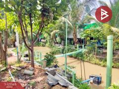 ขายบ้านเดี่ยว เนื้อที่ 2 ไร่ 2 งาน 57 ตารางวา บ้านยาง นครปฐม-202511021519311762071571893.jpg