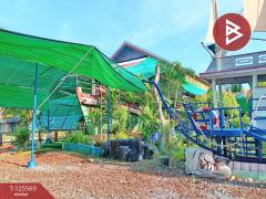 ขายบ้านเดี่ยว เนื้อที่ 2 ไร่ 2 งาน 57 ตารางวา บ้านยาง นครปฐม-202511021519331762071573556.jpg