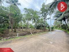 ขายที่ดิน เนื้อที่ 3 งาน 65.9 ตร.วา อัมพวา สมุทรสงคราม