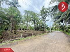 ขายที่ดิน เนื้อที่ 3 งาน 65.9 ตร.วา อัมพวา สมุทรสงคราม-202511021530151762072215983.jpg