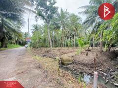 ขายที่ดิน เนื้อที่ 3 งาน 65.9 ตร.วา อัมพวา สมุทรสงคราม-202511021530161762072216533.jpg