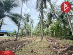 ขายที่ดิน เนื้อที่ 3 งาน 65.9 ตร.วา อัมพวา สมุทรสงคราม-202511021530171762072217138.jpg