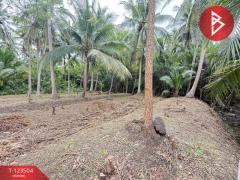 ขายที่ดิน เนื้อที่ 3 งาน 65.9 ตร.วา อัมพวา สมุทรสงคราม-202511021530181762072218326.jpg