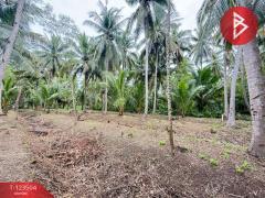 ขายที่ดิน เนื้อที่ 3 งาน 65.9 ตร.วา อัมพวา สมุทรสงคราม-202511021530181762072218817.jpg