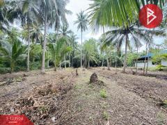 ขายที่ดิน เนื้อที่ 3 งาน 65.9 ตร.วา อัมพวา สมุทรสงคราม-202511021530191762072219307.jpg