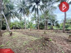 ขายที่ดิน เนื้อที่ 3 งาน 65.9 ตร.วา อัมพวา สมุทรสงคราม-202511021530201762072220297.jpg
