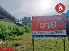 ขายที่ดิน เนื้อที่ 1 งาน 94 ตร.วา บ้านดุง อุดรธานี-202511021530521762072252847.jpg