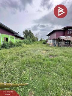 ขายที่ดิน เนื้อที่ 1 งาน 94 ตร.วา บ้านดุง อุดรธานี-202511021530541762072254996.jpg