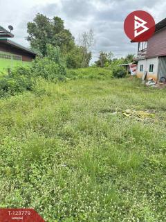 ขายที่ดิน เนื้อที่ 1 งาน 94 ตร.วา บ้านดุง อุดรธานี-202511021530551762072255536.jpg